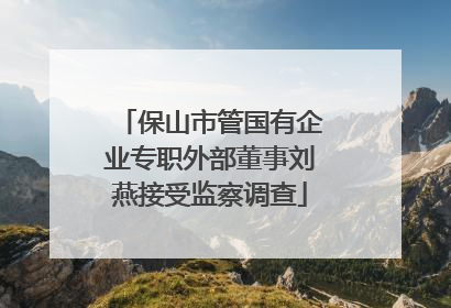 保山市管国有企业专职外部董事刘燕接受监察调查
