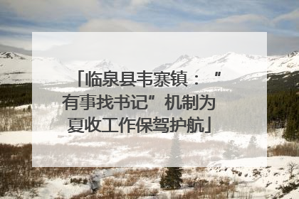 临泉县韦寨镇：“有事找书记”机制为夏收工作保驾护航