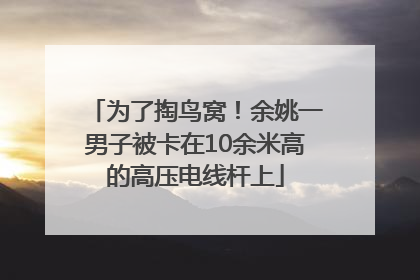 为了掏鸟窝！余姚一男子被卡在10余米高的高压电线杆上