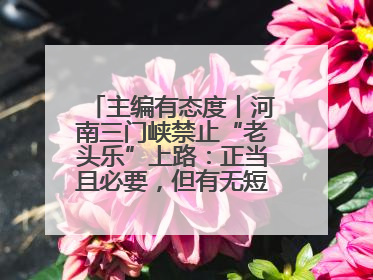 主编有态度丨河南三门峡禁止“老头乐”上路：正当且必要，但有无短期替代方案？