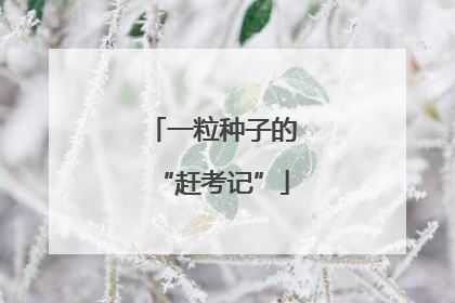 一粒种子的“赶考记”
