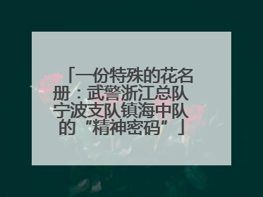 一份特殊的花名册：武警浙江总队宁波支队镇海中队的“精神密码”