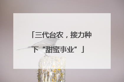 三代台农，接力种下“甜蜜事业”