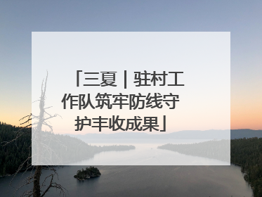 三夏｜驻村工作队筑牢防线守护丰收成果