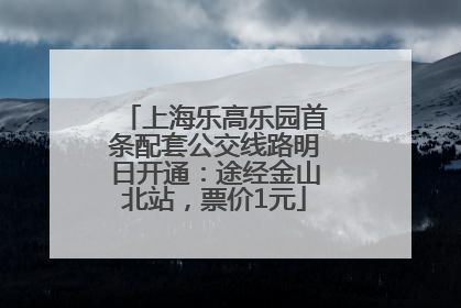 上海乐高乐园首条配套公交线路明日开通：途经金山北站，票价1元