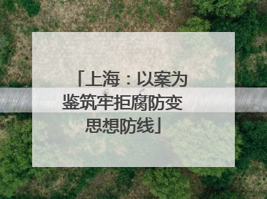 上海：以案为鉴筑牢拒腐防变思想防线