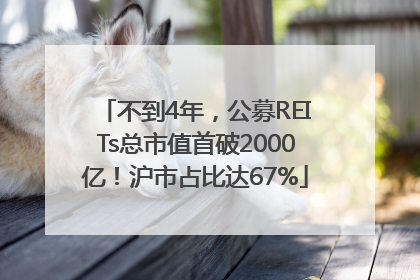 不到4年，公募REITs总市值首破2000亿！沪市占比达67%