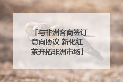与非洲客商签订意向协议 新化红茶开拓非洲市场