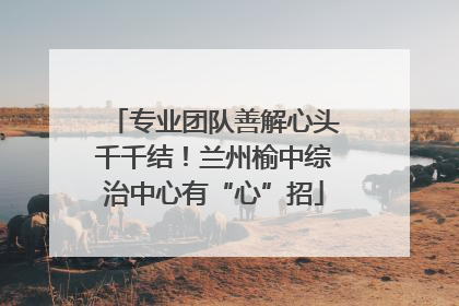 专业团队善解心头千千结！兰州榆中综治中心有“心”招