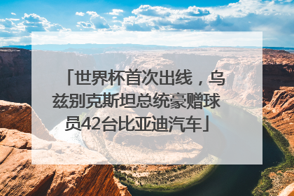 世界杯首次出线，乌兹别克斯坦总统豪赠球员42台比亚迪汽车