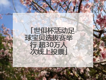 世俱杯活动足球宝贝选拔赛举行 超30万人次线上投票