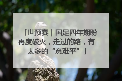 世预赛｜国足四年期盼再度破灭，走过的路，有太多的“意难平”