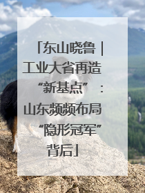 东山晓鲁｜工业大省再造“新基点”：山东频频布局“隐形冠军”背后