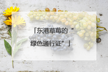 东港草莓的“绿色通行证”