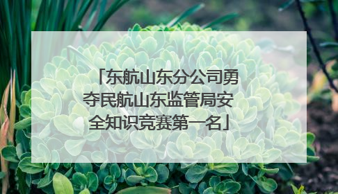 东航山东分公司勇夺民航山东监管局安全知识竞赛第一名