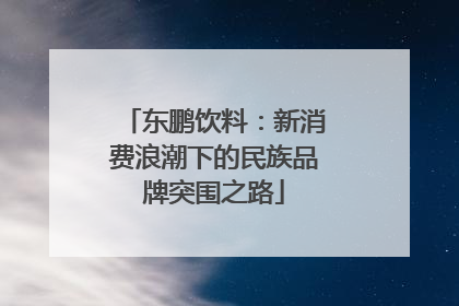 东鹏饮料：新消费浪潮下的民族品牌突围之路