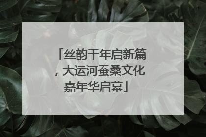 丝韵千年启新篇，大运河蚕桑文化嘉年华启幕
