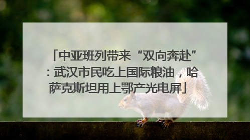 中亚班列带来“双向奔赴”：武汉市民吃上国际粮油，哈萨克斯坦用上鄂产光电屏