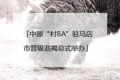 中原“村BA”驻马店市晋级赛揭幕式举办