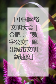 中国网络文明大会｜合肥：“数字公交”跑出城市文明新速度