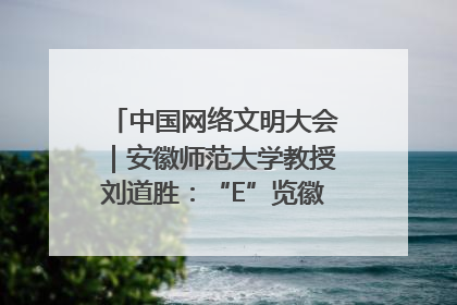 中国网络文明大会｜安徽师范大学教授刘道胜：“E”览徽风，构筑中华民族共有精神家园