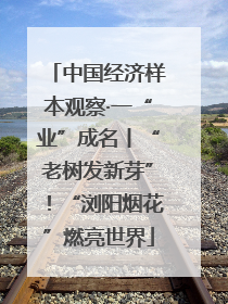 中国经济样本观察·一“业”成名丨“老树发新芽”！“浏阳烟花”燃亮世界