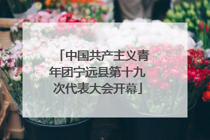 中国共产主义青年团宁远县第十九次代表大会开幕
