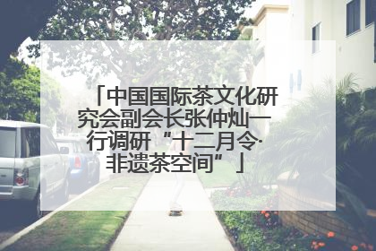 中国国际茶文化研究会副会长张仲灿一行调研“十二月令·非遗茶空间”
