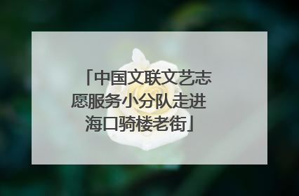 中国文联文艺志愿服务小分队走进海口骑楼老街