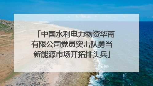 中国水利电力物资华南有限公司党员突击队勇当新能源市场开拓排头兵
