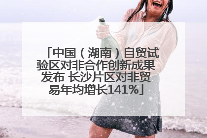 中国（湖南）自贸试验区对非合作创新成果发布 长沙片区对非贸易年均增长141%