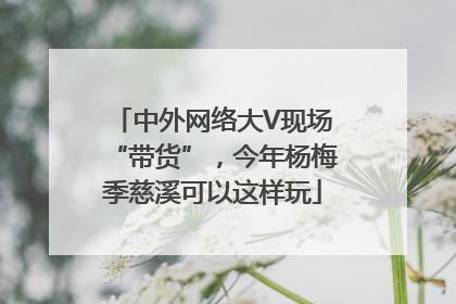 中外网络大V现场“带货”，今年杨梅季慈溪可以这样玩