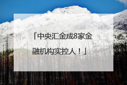中央汇金成8家金融机构实控人！