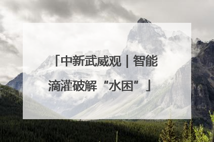 中新武威观｜智能滴灌破解“水困”