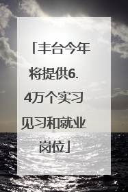丰台今年将提供6.4万个实习见习和就业岗位