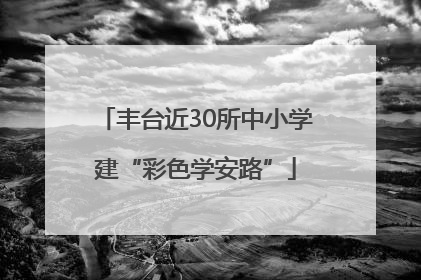 丰台近30所中小学建“彩色学安路”