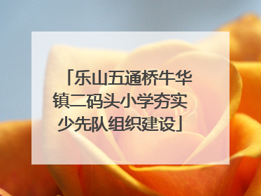 乐山五通桥牛华镇二码头小学夯实少先队组织建设