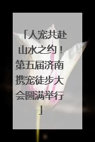 人宠共赴山水之约！第五届济南携宠徒步大会圆满举行