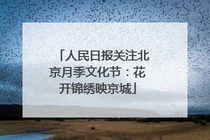 人民日报关注北京月季文化节：花开锦绣映京城