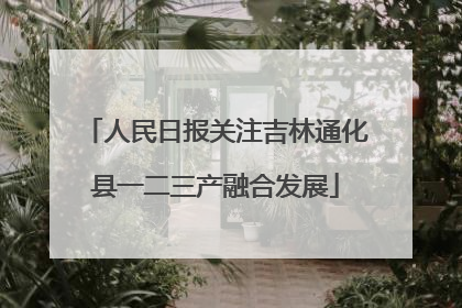 人民日报关注吉林通化县一二三产融合发展