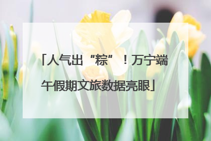 人气出“粽”！万宁端午假期文旅数据亮眼