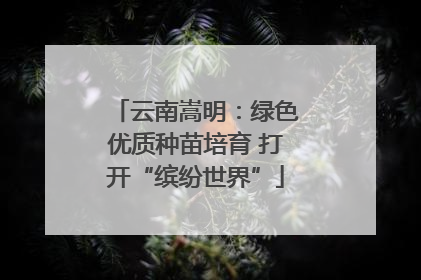 云南嵩明：绿色优质种苗培育 打开“缤纷世界”