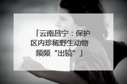 云南昌宁：保护区内珍稀野生动物频频“出镜”