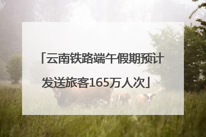 云南铁路端午假期预计发送旅客165万人次