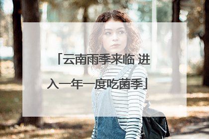 云南雨季来临 进入一年一度吃菌季
