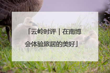 云岭时评｜在南博会体验旅居的美好