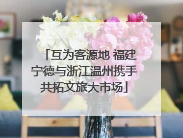 互为客源地 福建宁德与浙江温州携手共拓文旅大市场
