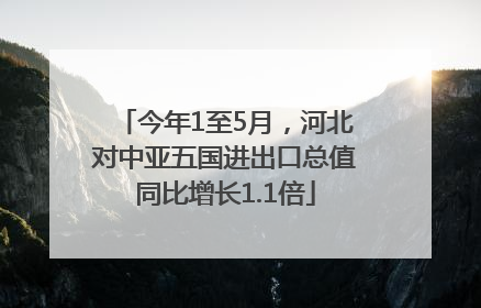 今年1至5月，河北对中亚五国进出口总值同比增长1.1倍