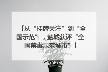 从“挂牌关注”到“全国示范”，盐城获评“全国禁毒示范城市”
