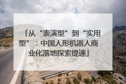 从“表演型”到“实用型”：中国人形机器人商业化落地探索提速